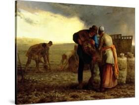 The Potato Harvest, 1855-Jean-François Millet-Stretched Canvas