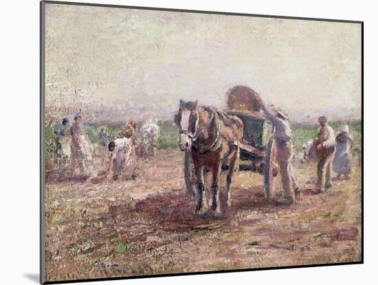 The Potato Pickers-Harry Fidler-Mounted Giclee Print