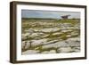 The Poulnabrone dolmen, prehistoric slab burial chamber, The Burren, County Clare, Munster, Republi-Nigel Hicks-Framed Photographic Print