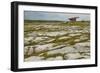 The Poulnabrone dolmen, prehistoric slab burial chamber, The Burren, County Clare, Munster, Republi-Nigel Hicks-Framed Photographic Print