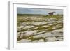 The Poulnabrone dolmen, prehistoric slab burial chamber, The Burren, County Clare, Munster, Republi-Nigel Hicks-Framed Photographic Print