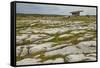 The Poulnabrone dolmen, prehistoric slab burial chamber, The Burren, County Clare, Munster, Republi-Nigel Hicks-Framed Stretched Canvas