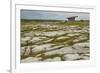 The Poulnabrone dolmen, prehistoric slab burial chamber, The Burren, County Clare, Munster, Republi-Nigel Hicks-Framed Photographic Print