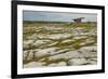 The Poulnabrone dolmen, prehistoric slab burial chamber, The Burren, County Clare, Munster, Republi-Nigel Hicks-Framed Photographic Print