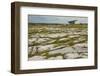 The Poulnabrone dolmen, prehistoric slab burial chamber, The Burren, County Clare, Munster, Republi-Nigel Hicks-Framed Photographic Print