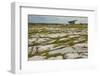 The Poulnabrone dolmen, prehistoric slab burial chamber, The Burren, County Clare, Munster, Republi-Nigel Hicks-Framed Photographic Print