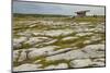 The Poulnabrone dolmen, prehistoric slab burial chamber, The Burren, County Clare, Munster, Republi-Nigel Hicks-Mounted Photographic Print