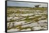 The Poulnabrone dolmen, prehistoric slab burial chamber, The Burren, County Clare, Munster, Republi-Nigel Hicks-Framed Stretched Canvas