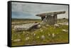 The Poulnabrone dolmen, prehistoric slab burial chamber, The Burren, County Clare, Munster, Republi-Nigel Hicks-Framed Stretched Canvas