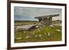 The Poulnabrone dolmen, prehistoric slab burial chamber, The Burren, County Clare, Munster, Republi-Nigel Hicks-Framed Photographic Print