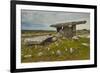 The Poulnabrone dolmen, prehistoric slab burial chamber, The Burren, County Clare, Munster, Republi-Nigel Hicks-Framed Photographic Print