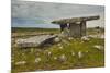 The Poulnabrone dolmen, prehistoric slab burial chamber, The Burren, County Clare, Munster, Republi-Nigel Hicks-Mounted Photographic Print