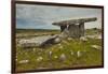 The Poulnabrone dolmen, prehistoric slab burial chamber, The Burren, County Clare, Munster, Republi-Nigel Hicks-Framed Photographic Print