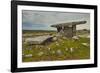 The Poulnabrone dolmen, prehistoric slab burial chamber, The Burren, County Clare, Munster, Republi-Nigel Hicks-Framed Photographic Print