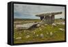 The Poulnabrone dolmen, prehistoric slab burial chamber, The Burren, County Clare, Munster, Republi-Nigel Hicks-Framed Stretched Canvas