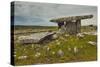 The Poulnabrone dolmen, prehistoric slab burial chamber, The Burren, County Clare, Munster, Republi-Nigel Hicks-Stretched Canvas