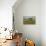 The Poulnabrone dolmen, prehistoric slab burial chamber, The Burren, County Clare, Munster, Republi-Nigel Hicks-Photographic Print displayed on a wall