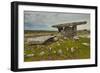 The Poulnabrone dolmen, prehistoric slab burial chamber, The Burren, County Clare, Munster, Republi-Nigel Hicks-Framed Photographic Print