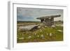 The Poulnabrone dolmen, prehistoric slab burial chamber, The Burren, County Clare, Munster, Republi-Nigel Hicks-Framed Photographic Print