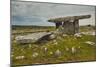 The Poulnabrone dolmen, prehistoric slab burial chamber, The Burren, County Clare, Munster, Republi-Nigel Hicks-Mounted Photographic Print