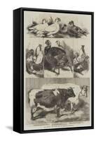 The Poultry and Cattle Show at Birmingham-Harrison William Weir-Framed Stretched Canvas