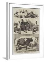 The Poultry and Cattle Show at Birmingham-Harrison William Weir-Framed Giclee Print