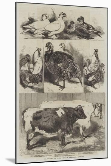 The Poultry and Cattle Show at Birmingham-Harrison William Weir-Mounted Giclee Print