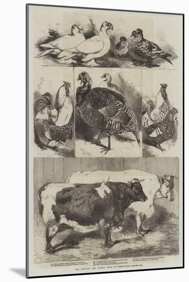 The Poultry and Cattle Show at Birmingham-Harrison William Weir-Mounted Giclee Print