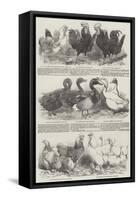 The Poultry Exhibition at Birmingham-Harrison William Weir-Framed Stretched Canvas