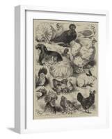 The Poultry, Pigeon, and Rabbit Show at the Crystal Palace-Harrison William Weir-Framed Giclee Print