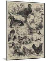 The Poultry, Pigeon, and Rabbit Show at the Crystal Palace-Harrison William Weir-Mounted Giclee Print