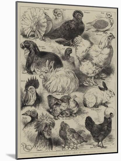 The Poultry, Pigeon, and Rabbit Show at the Crystal Palace-Harrison William Weir-Mounted Giclee Print