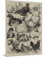 The Poultry, Pigeon, and Rabbit Show at the Crystal Palace-Harrison William Weir-Mounted Giclee Print