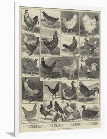 The Poultry Show at the Crystal Palace-Alfred Courbould-Framed Giclee Print