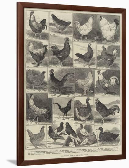 The Poultry Show at the Crystal Palace-Alfred Courbould-Framed Giclee Print