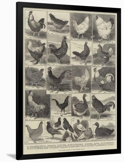 The Poultry Show at the Crystal Palace-Alfred Courbould-Framed Giclee Print