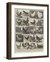 The Poultry Show at the Crystal Palace-Alfred Courbould-Framed Giclee Print