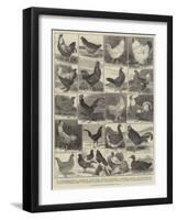 The Poultry Show at the Crystal Palace-Alfred Courbould-Framed Giclee Print