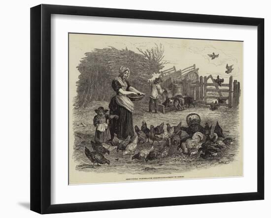 The Poultry-Yard-null-Framed Giclee Print