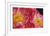 The Power of Petals-Irene Suchocki-Framed Limited Edition