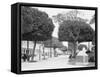 The Prado at Central Park, Havana, Cuba-null-Framed Stretched Canvas