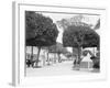 The Prado at Central Park, Havana, Cuba-null-Framed Photo