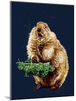 The Prairie Dog on Midnight Blue, 2020, (Pen and Ink)-Mike Davis-Mounted Giclee Print