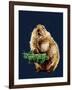 The Prairie Dog on Midnight Blue, 2020, (Pen and Ink)-Mike Davis-Framed Giclee Print
