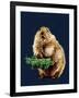 The Prairie Dog on Midnight Blue, 2020, (Pen and Ink)-Mike Davis-Framed Giclee Print