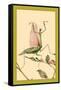 The Praying Mantis-Edward Detmold-Framed Stretched Canvas