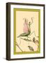 The Praying Mantis-Edward Detmold-Framed Art Print