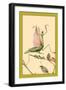 The Praying Mantis-Edward Detmold-Framed Art Print