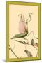 The Praying Mantis-Edward Detmold-Mounted Art Print