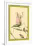 The Praying Mantis-Edward Detmold-Framed Art Print